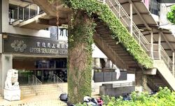 Upper Serangoon Shopping Centre (D19), Shop House #624913771